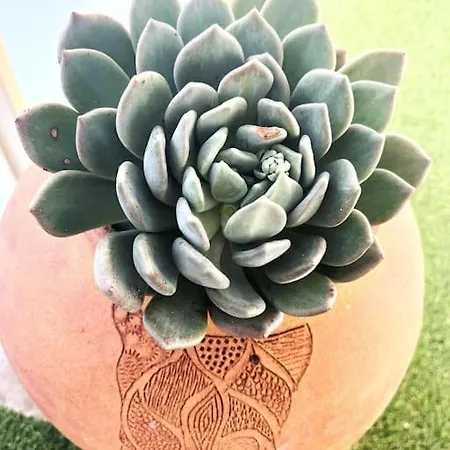 Magnifique 2p Vue Terrasse Parking דירה ז'ואן-לה-פינס