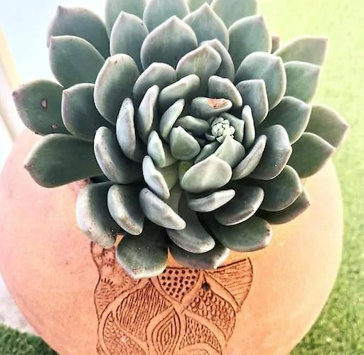 Magnifique 2p Vue Terrasse Parking Appartement Juan-les-Pins