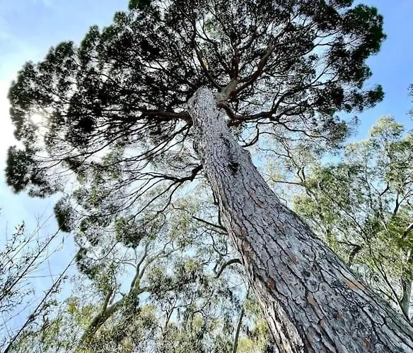 Magnifique 2p Vue Terrasse Parking